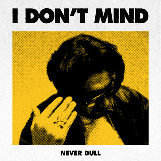 Never-Dull-I-Don't-Mind-Cover